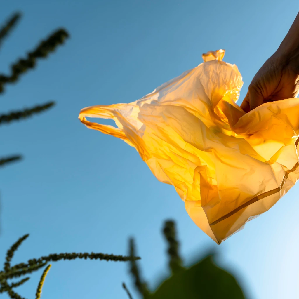 24_Zero waste commitmet-min.jpg