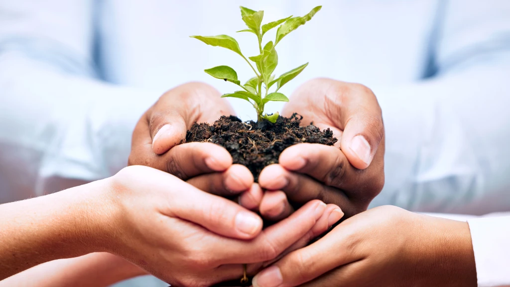 Selecta Eco Joy 1.jpg